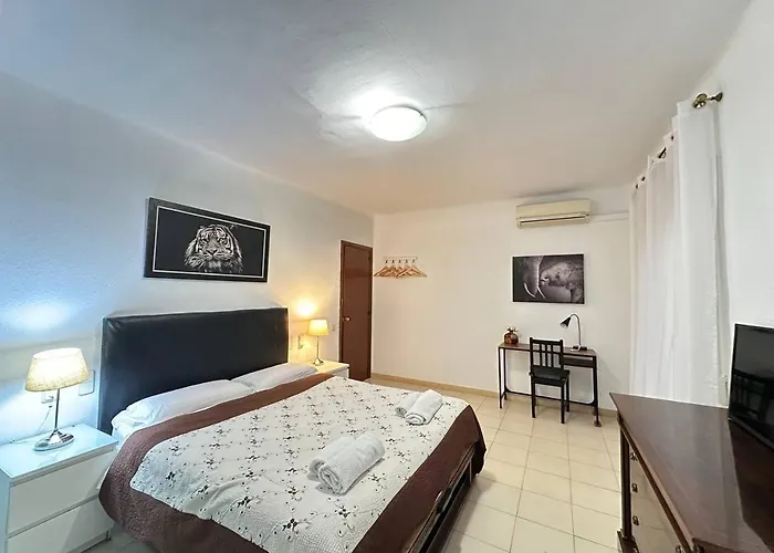 Consell De Cent * Barcelona